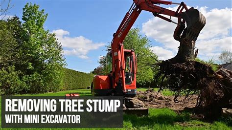 can a mini excavator remove stumps|kubota mini stump removal.